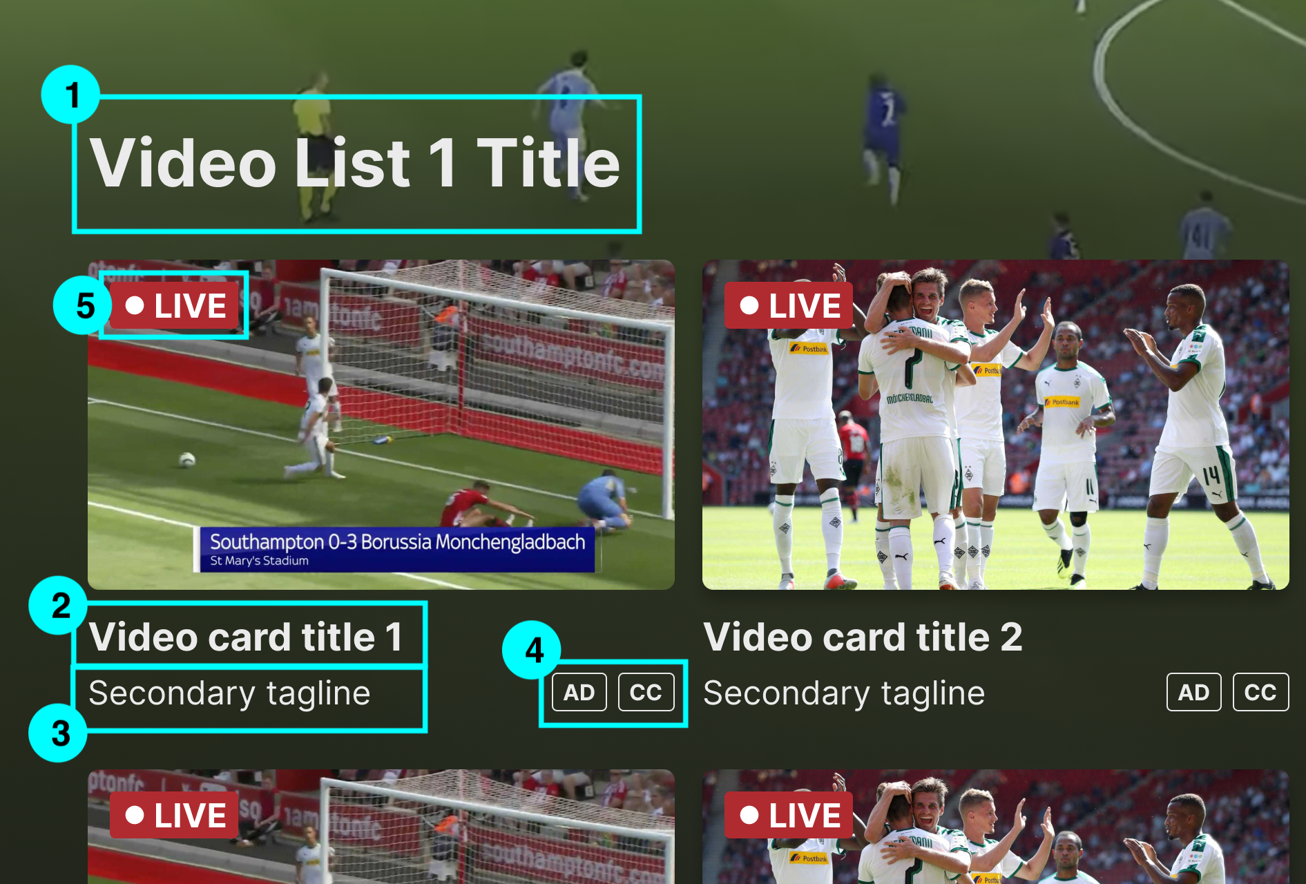 Accessibility_-_video_list_mode.png